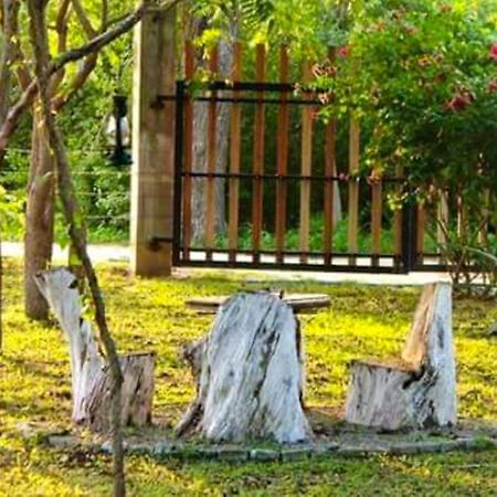 Hotel Lavish Eco Jungle Tissamaharama Exterior foto