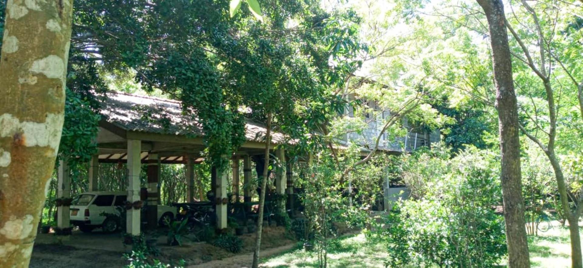 Hotel Lavish Eco Jungle Tissamaharama Exterior foto