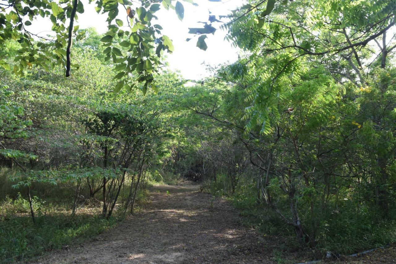 Hotel Lavish Eco Jungle Tissamaharama Exterior foto